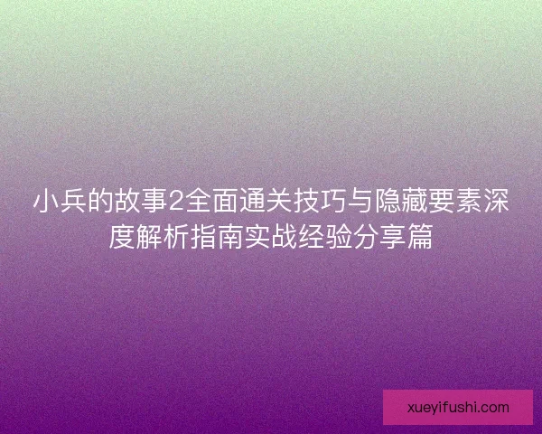 小兵的故事2全面通关技巧与隐藏要素深度解析指南实战经验分享篇