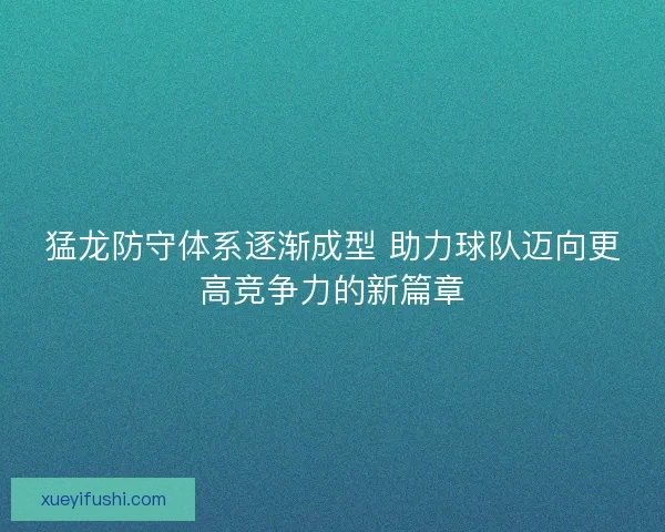 猛龙防守体系逐渐成型 助力球队迈向更高竞争力的新篇章